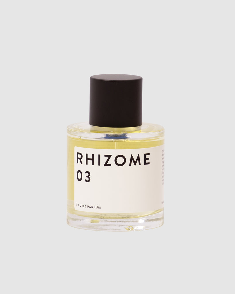 RHIZOME 03 EDP
