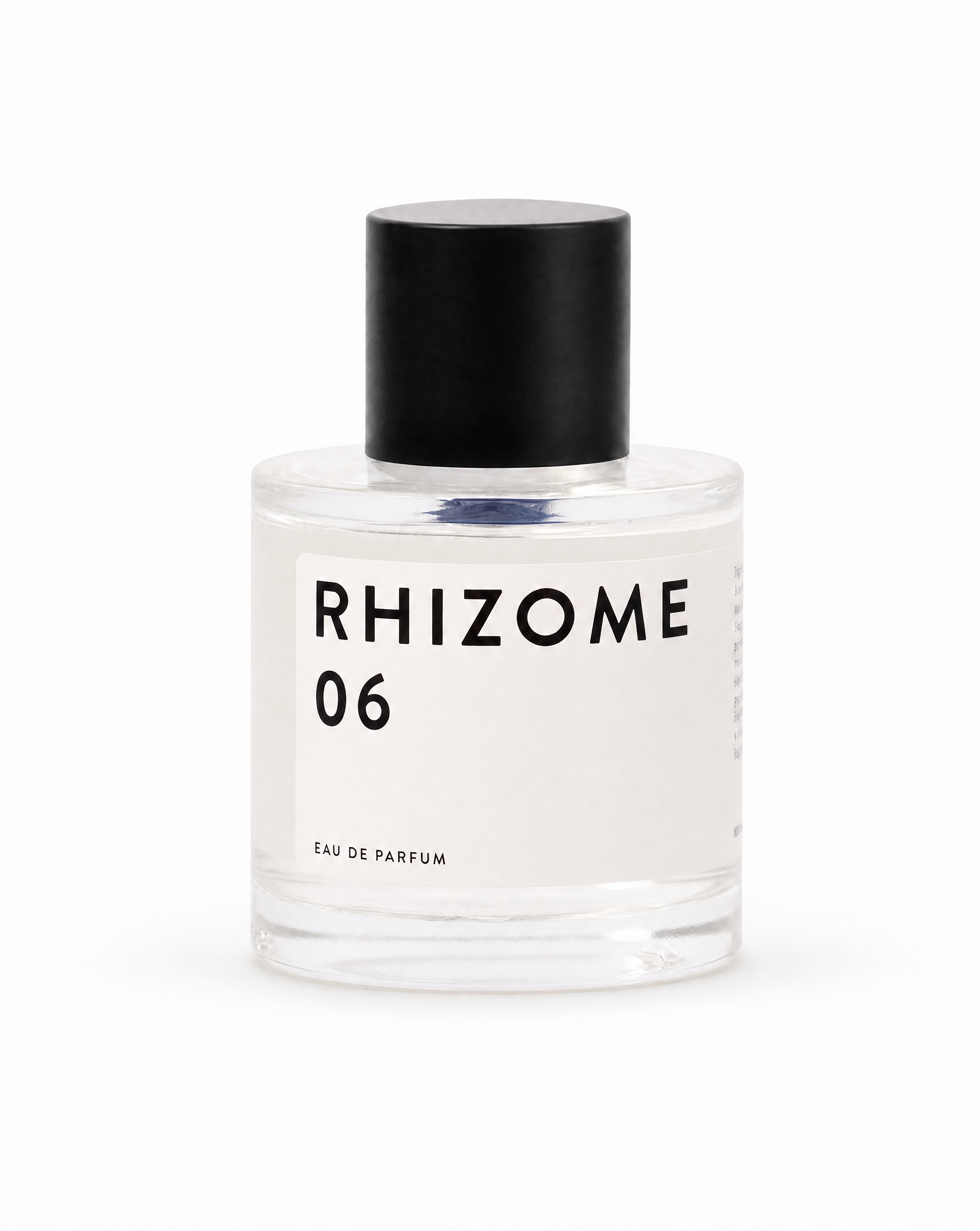 RHIZOME 06 EDP