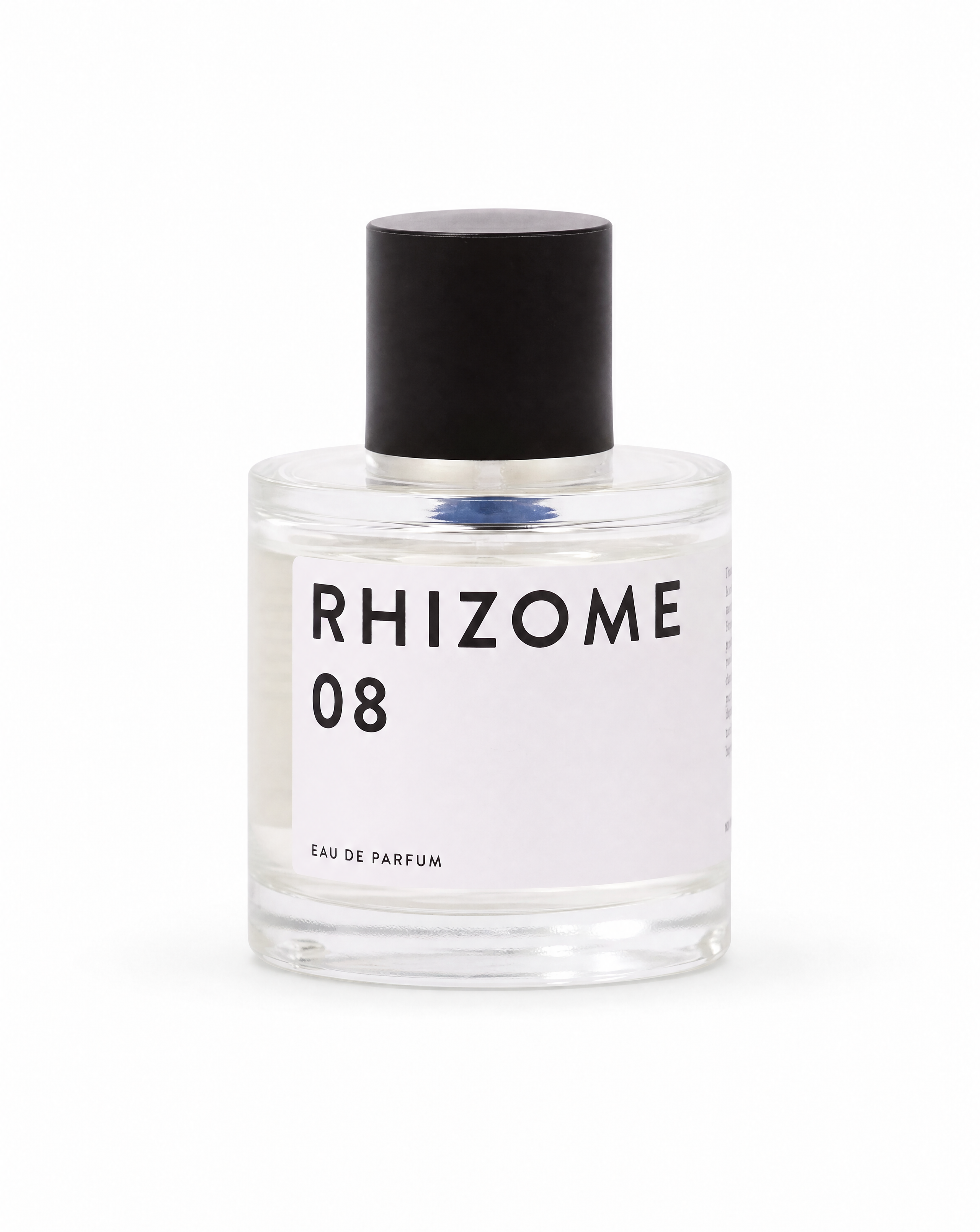 RHIZOME 08 EDP