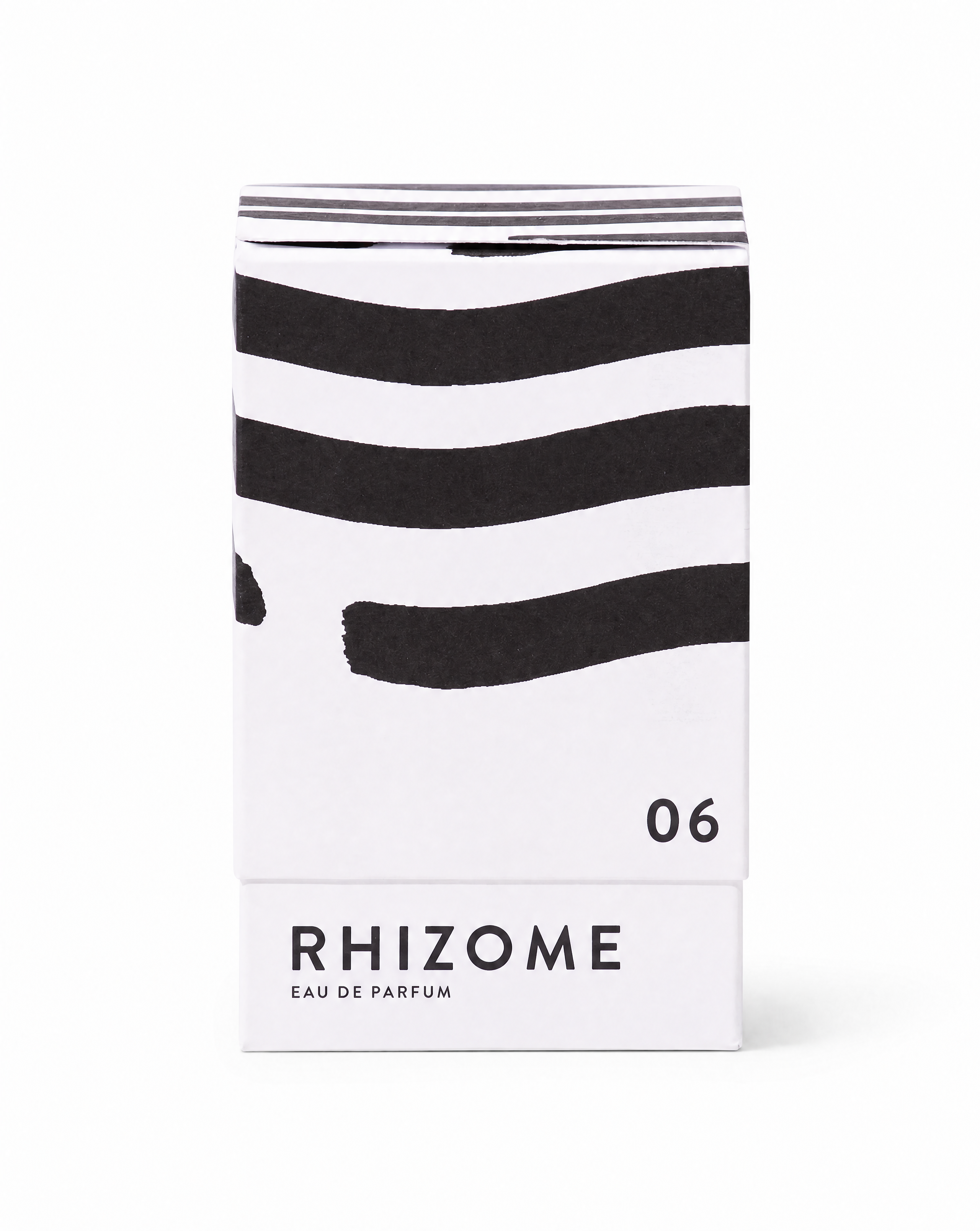 RHIZOME 06 EDP