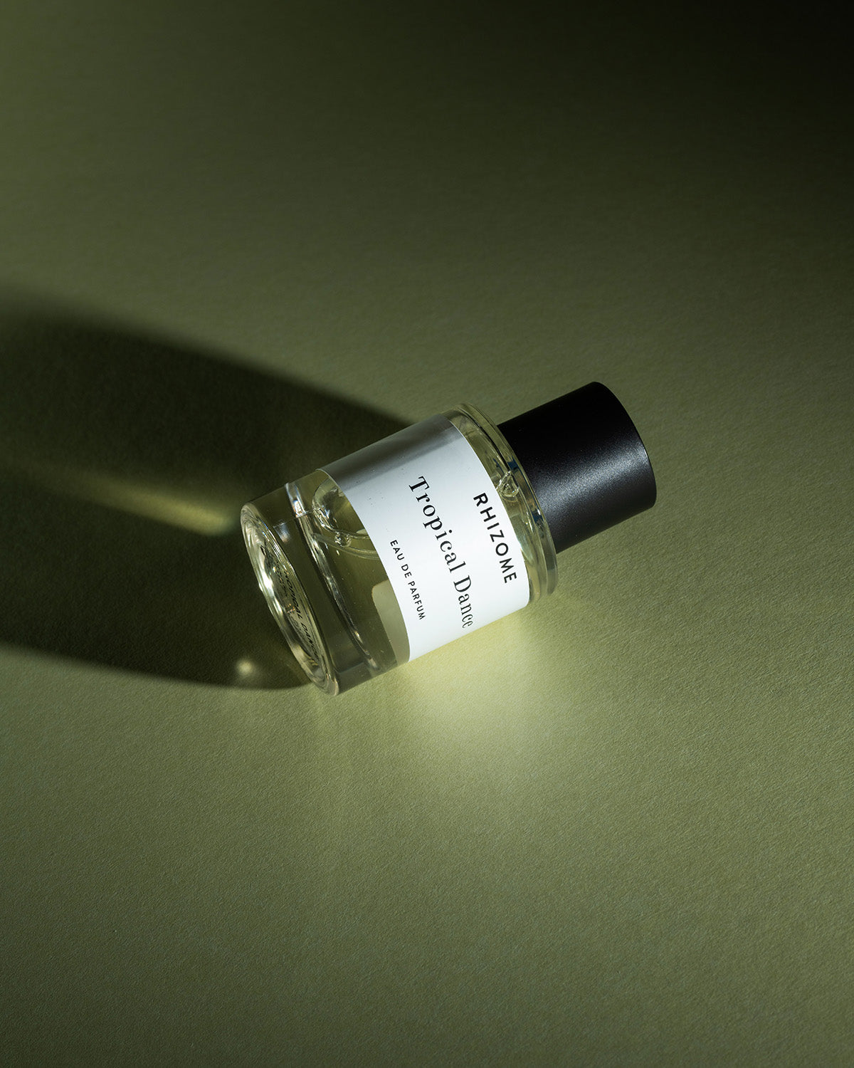 RHIZOME TROPICAL DANCE EDP