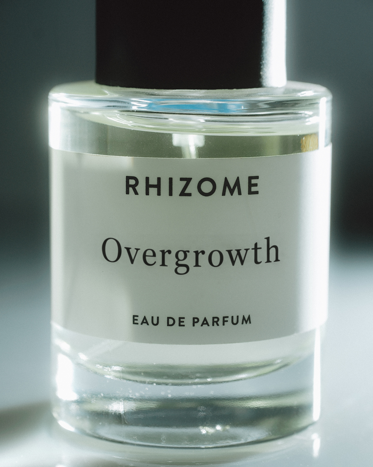 RHIZOME OVERGROWTH EDP
