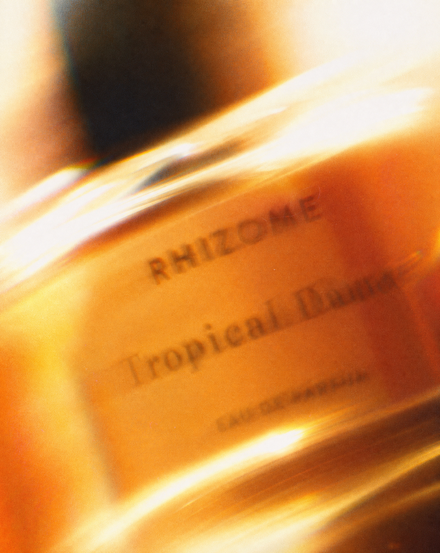 RHIZOME TROPICAL DANCE EDP