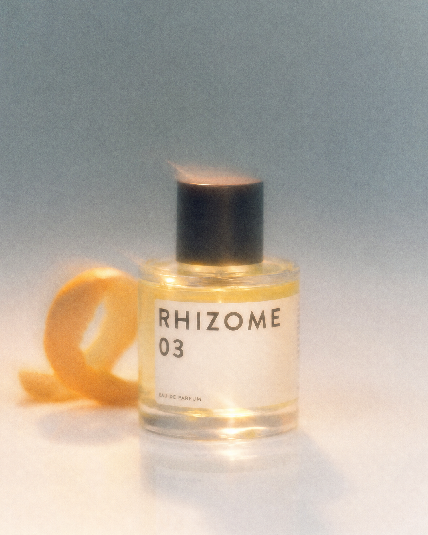 RHIZOME 03 EDP