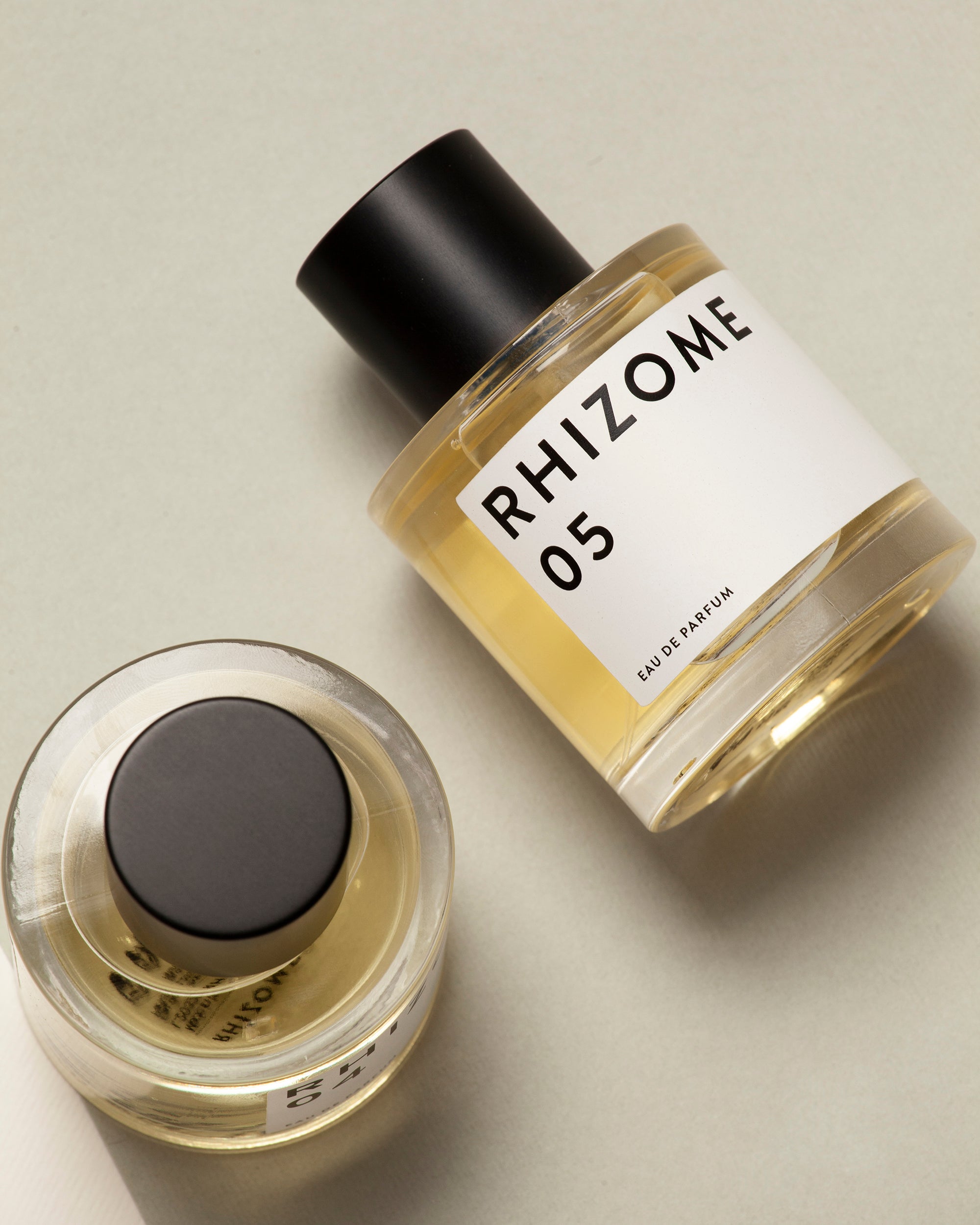 RHIZOME 05 EDP