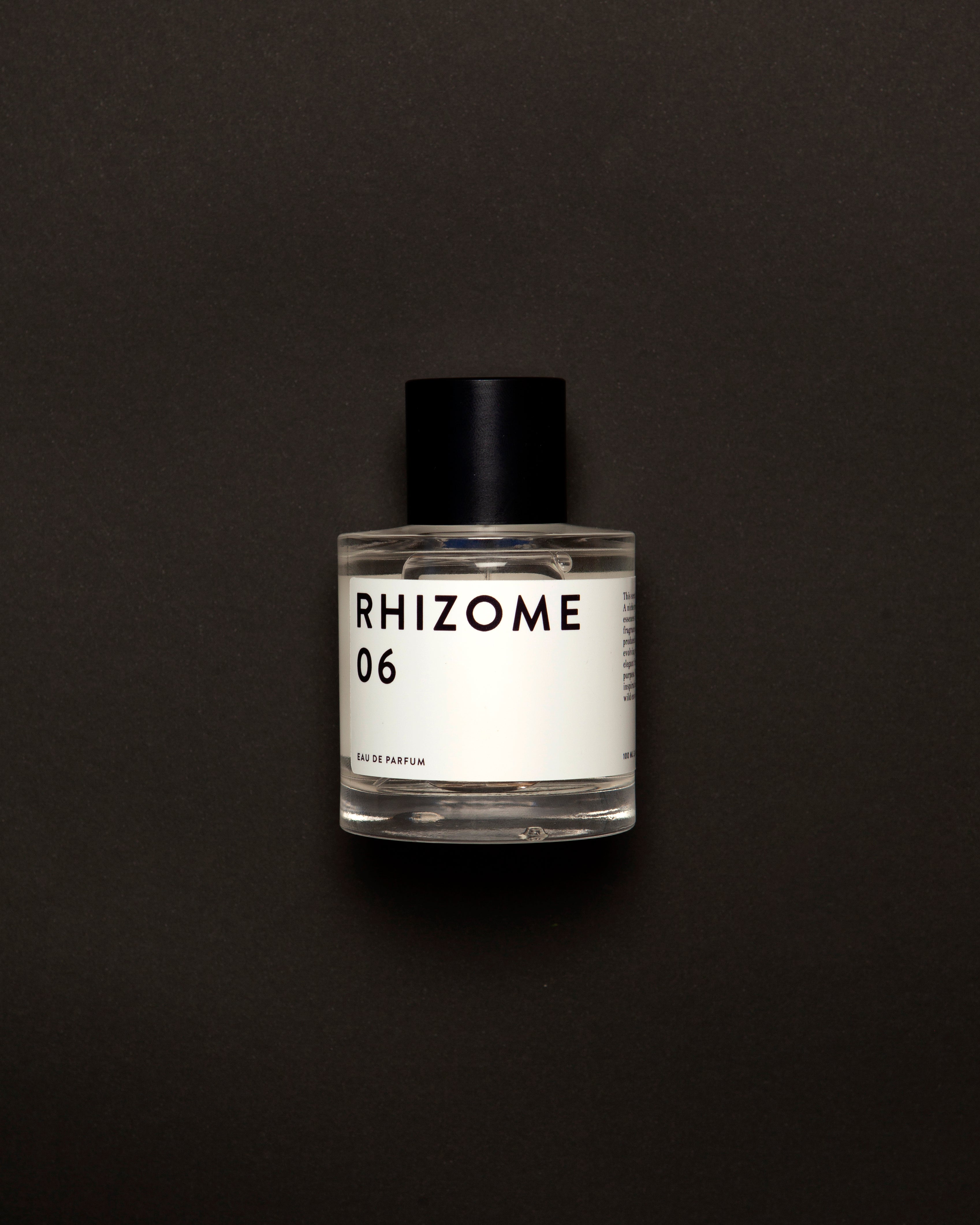 RHIZOME 06 EDP