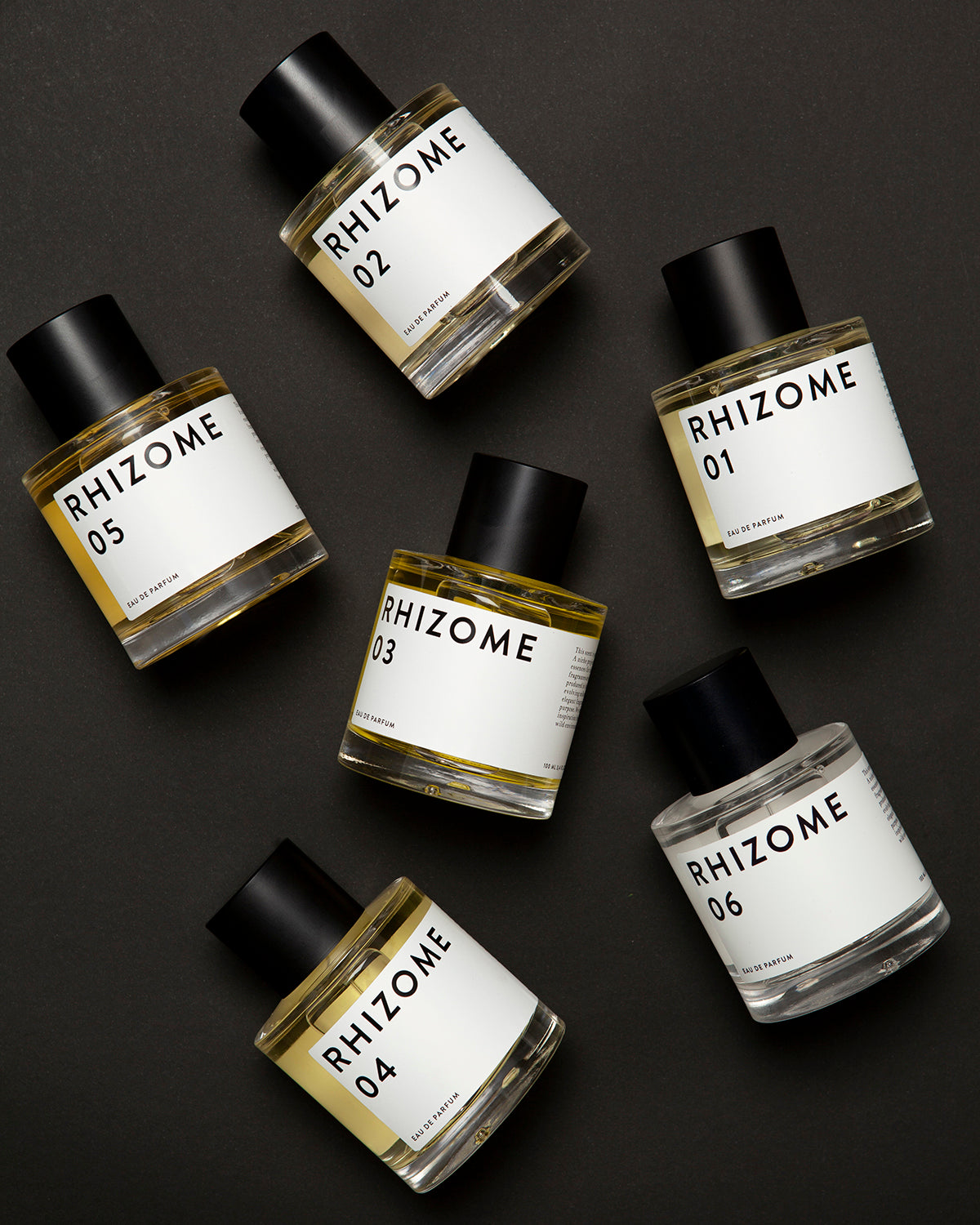 RHIZOME 01 EDP